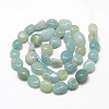 Natural Amazonite Beads Strands X-G-R445-8x10-21-2