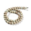 Natural Rainbow Alashan Agate Beads Strands G-NH0022-A08-02-3