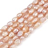 Natural Cultured Freshwater Pearl Beads Strands PEAR-P064-20H-02D-2