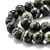Natural Green Zebra Jasper Beads Strands G-O199-05A-3