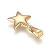 304 Stainless Steel Charms STAS-I127-067G-02-2
