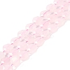 Natural Rose Quartz Beads Strands G-N342-07-1
