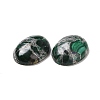 Natural Malachite Cabochons G-E464-42Q-3
