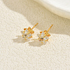 Star Brass Stud Earrings MO5504-1