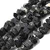 Natural Black Tourmaline Beads Strands G-I283-F12-2