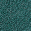 11/0 Czech Opaque Glass Seed Beads SEED-N004-003B-31-4
