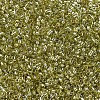 MIYUKI Delica Beads SEED-X0054-DB0124-3