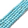 Dyed & Heated Natural Magnesite Beads Strands G-G924-01B-04-1