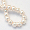 Baking Painted Pearlized Glass Pearl Round Bead Strands HY-Q003-6mm-41-4