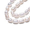 Natural Cultured Freshwater Pearl Beads Strands X1-PEAR-N012-03D-4