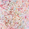 1200Pcs 12 Colors Frosted Glass Beads FGLA-TA0001-04-4