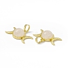 Natural Rose Quartz Pendants G-H283-02D-3