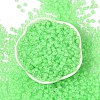 6/0 Luminous Glass Seed Beads X1-SEED-NH0001-01H-3