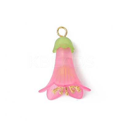 Transparent Acrylic Bead Caps PALLOY-JF03722-1