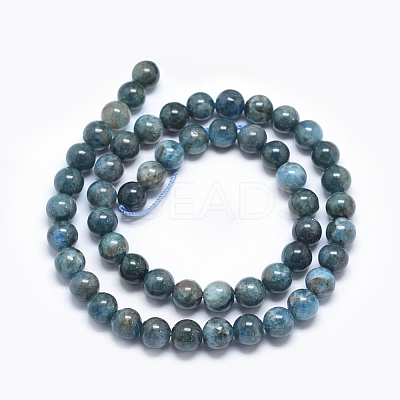 Natural Apatite Beads G-E481-05-6mm-1