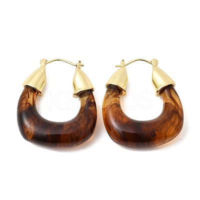 Brass Resin Hoop Earrings EJEW-P333-11D-G02-1