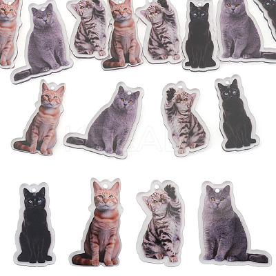 12Pcs 4 Styles Printed Acrylic Pendants OACR-TA0004-14A-1