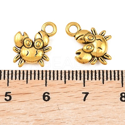 Alloy Charms PALLOY-ZN49542-AG-FF-1