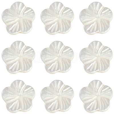 30Pcs Natural Freshwater Shell Beads Strands SHEL-CJ0001-30-1