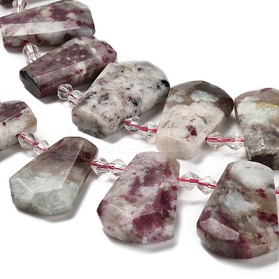 Natural Plum Blossom Tourmaline Beads Strands G-H078-A01-02-1