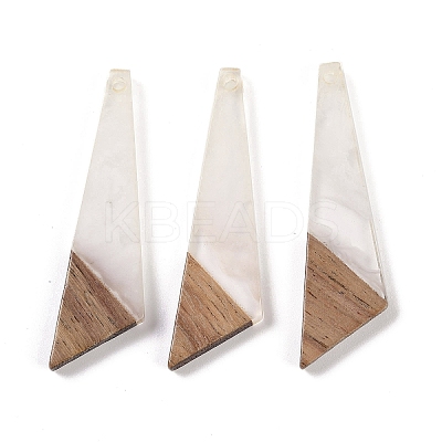 Resin & Wood Pendants WOOD-F015-15B-1