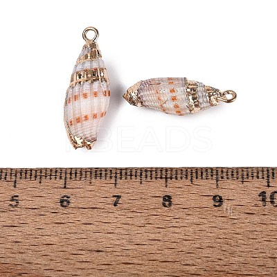 Electroplated Golden Brass Trim Natural Spiral Shell Pendants SSHEL-N042-39-1