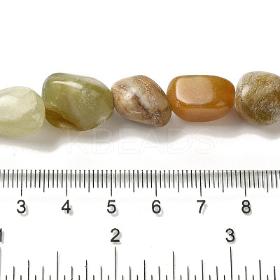 Natural Xiuyan Jade Beads Strands G-B078-D19-04-1