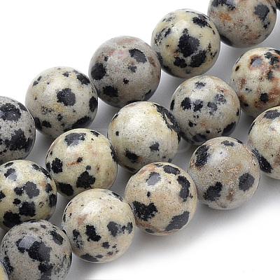 Natural Dalmatian Jasper Beads Strands G-S259-24-10mm-1