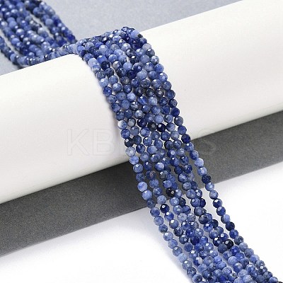 Natural Sodalite Beads Strands X-G-G139-A07-02-1