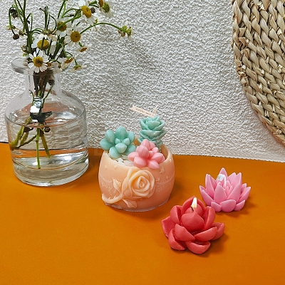 Potted Succulent DIY Food Grade Silicone Mold PW-WG17181-02-1