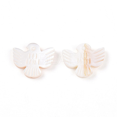 Natural Freshwater Shell Carved Beads SHEL-N036-12-1