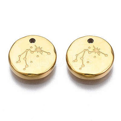 316 Surgical Stainless Steel Charms STAS-S116-418F-G-1