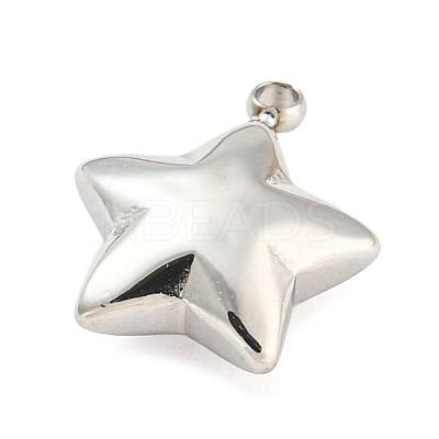 Non-Tarnish 304 Stainless Steel Charms STAS-P333-08P-1
