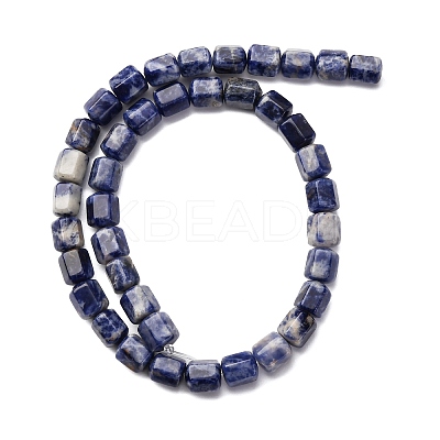 Natural Sodalite Beads Strands G-R015-A03-1