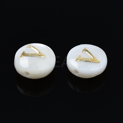Natural Freshwater Shell Beads SHEL-S278-036V-1