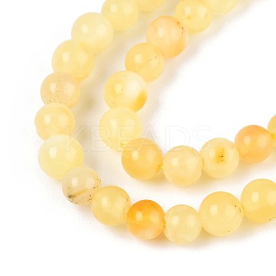 Natural Yellow Amber Beads Strands G-N351-04A-01-1