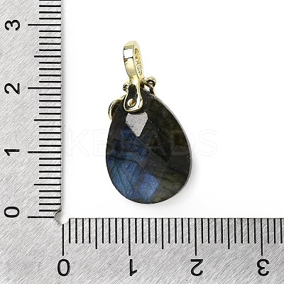 Natural Labradorite Faceted Teardrop Pendants KK-D021-03F-G-1