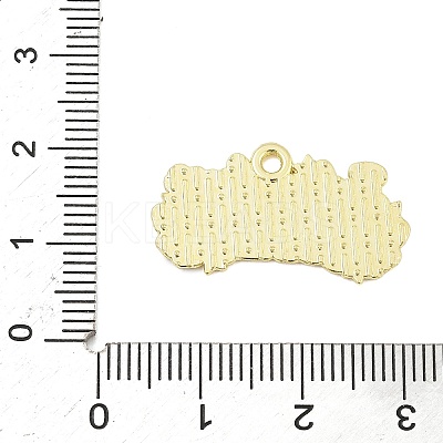 Independence Day Alloy Enamel Pandants FIND-M083-05I-G-1