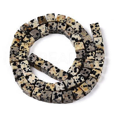 Natural Dalmatian Jasper Beads Strands G-T139-6x6-17A-1