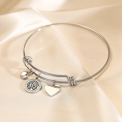 Stainless Steel Micro Pave Cubic Zirconia Charm Bangles  PW-WG9247A-02-1