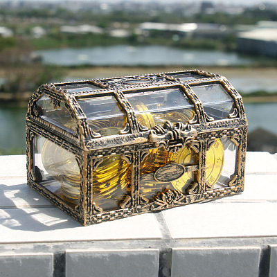 Rectangle Plastic Transparent Antique Pirate Treasure Boxes LS-PW-WG47828-01-1