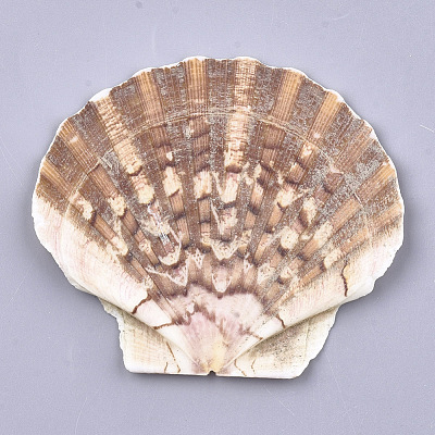 Natural Scallop Shell Beads SSHEL-S258-46-1