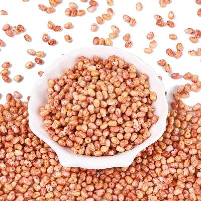 Picasso Glass Seed Beads SEED-N012-10C-1