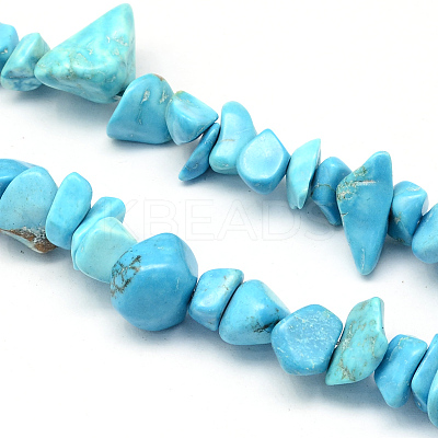 Dyed Synthetic Turquoise Stone Bead Strands G-R192-B24-1