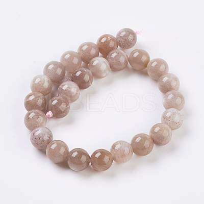Natural Sunstone Beads Strands X-G-G099-8mm-14-1