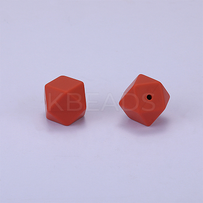 Hexagonal Silicone Focal Beads SI-JX0020A-81-1