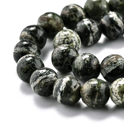 Natural Green Zebra Jasper Beads Strands G-O199-05A-1