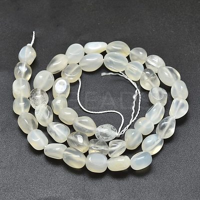 Natural White Moonstone Beads Strands G-O186-C-04-1