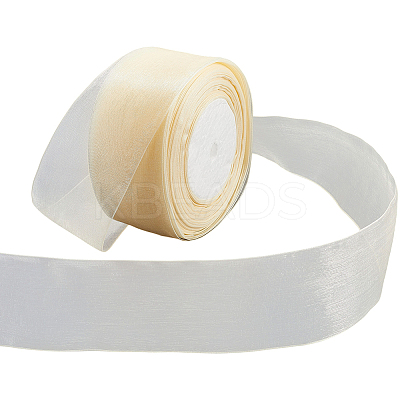 1 Rolls Sheer Organza Ribbon SRIB-CY0001-22C-11-1