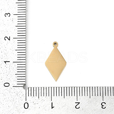 304 Stainless Steel Pendants STAS-I325-132G-1